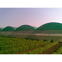 Poultry Farm Net